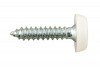 Number Plate Screw White No 10 x 1 - Pack 100