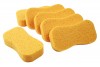 Wash Sponge - Pack of 6