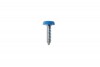 Number Plate Screw Blue No 10 x 1 - Pack 100