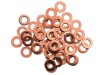 100 Copper Washer for 91975 Tecspot