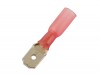 Red Heat Shrink Male Push-on Terminal 6.3mm - Pack 25