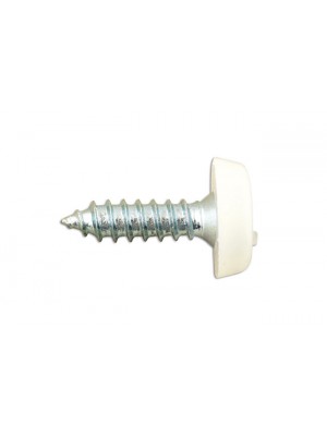 Number Plate Screw White No 10 x 3/4 - Pack 100