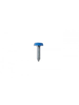 Number Plate Screw Blue No 10 x 1 - Pack 100