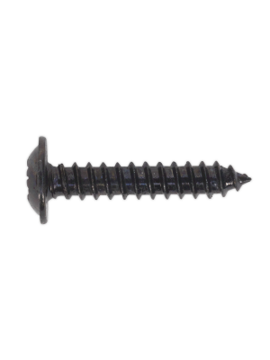 Self Tapping Screw 3.5 x 19mm Flanged Head Black Pozi Pack of 100