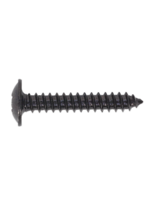 Self Tapping Screw 4.2 x 25mm Flanged Head Black Pozi Pack of 100