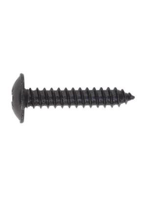 Self Tapping Screw 4.8 x 25mm Flanged Head Black Pozi Pack of 100