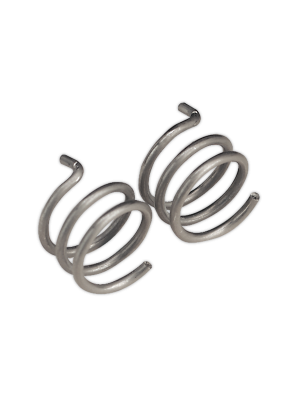 Nozzle Spring MB25/36 Pack of 2