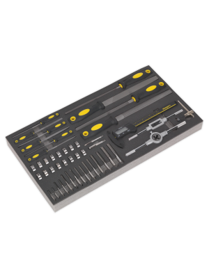 Tool Tray with Tap & Die, File & Caliper Set 48pc
