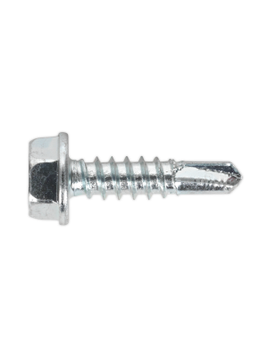 Self Drilling Screw 4.8 x 19mm Hex Head Zinc Pack of 100