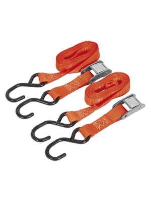 Cam Buckle Tie Down 25mm x 2.5m Polyester Webbing with S-Hooks 500kg Breaking Strength