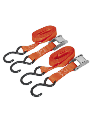 Cam Buckle Tie Down 25mm x 2.5m Polyester Webbing with S-Hooks 250kg Breaking Strength
