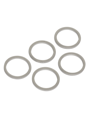 Sump Plug Washer M15 - Pack of 5