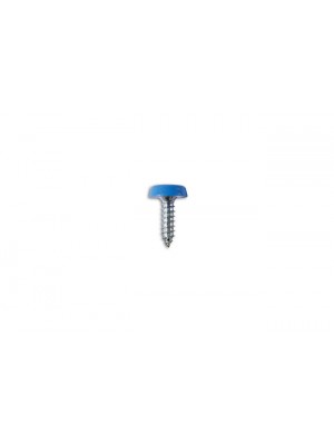 Number Plate Screw Blue No 10 x 3/4 - Pack 100