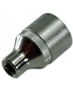 Star Socket 3/8"D E5
