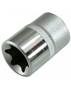 Star Socket 1/2"D E10