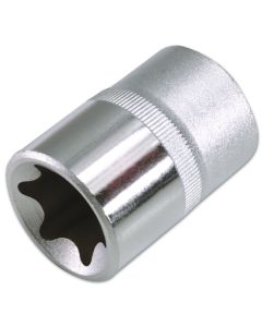 Star Socket 1/2"D E24