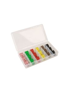 Assorted Female PAL Fuses 18pc