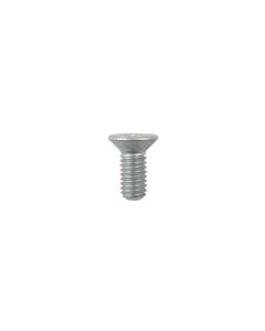 Brake Disc Fixing Screws M6 x 1mm 10pc - compatible with Citro