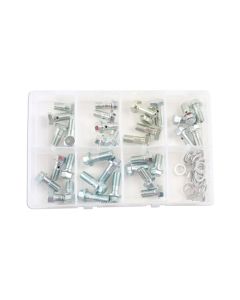 Assorted Brake Hose Banjo Bolts M10 70pc