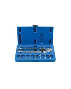 Adjustable Pin Wrench Set