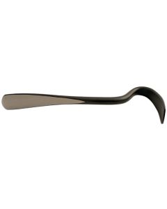 Long Reach Spoon